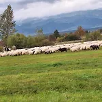 Apartamento U Beci I Cyryla Nowa Biala