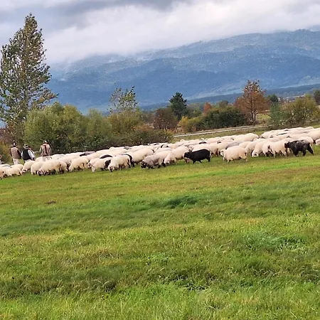 Διαμέρισμα U Beci I Cyryla Nowa Biala